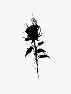 Black Smoke Rose