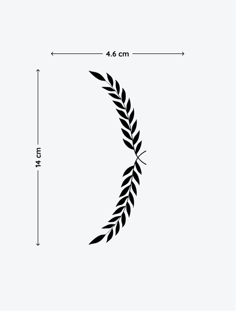 5.png