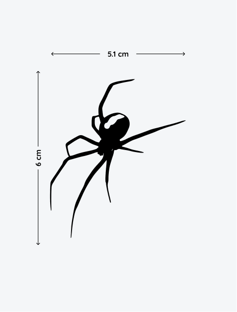 5.png