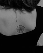 Quiet Flower