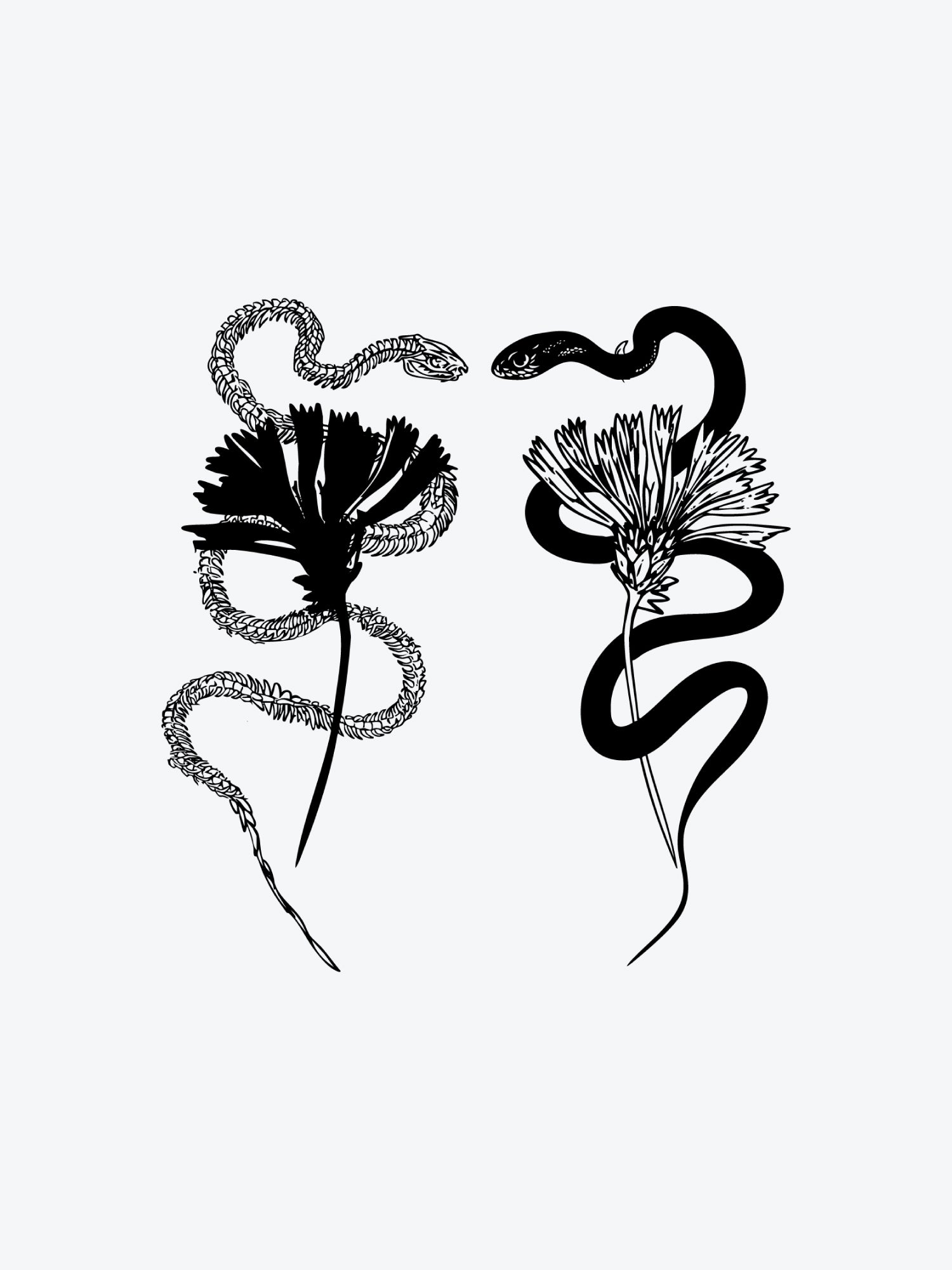 Snake n Bones Set (5 Tattoos)