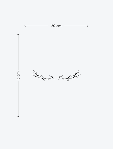 5.png
