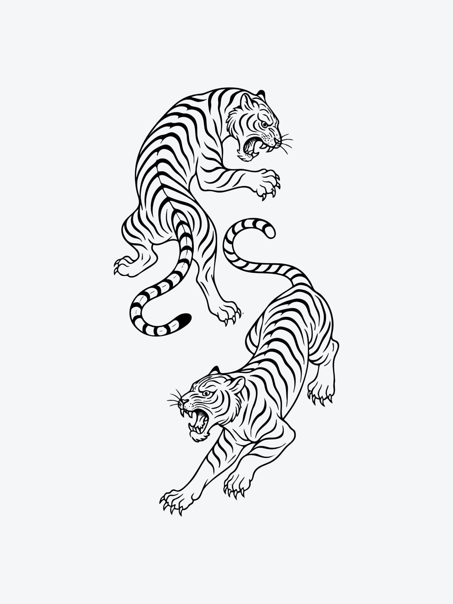 Tiger Duo