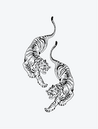 Tiger Duo