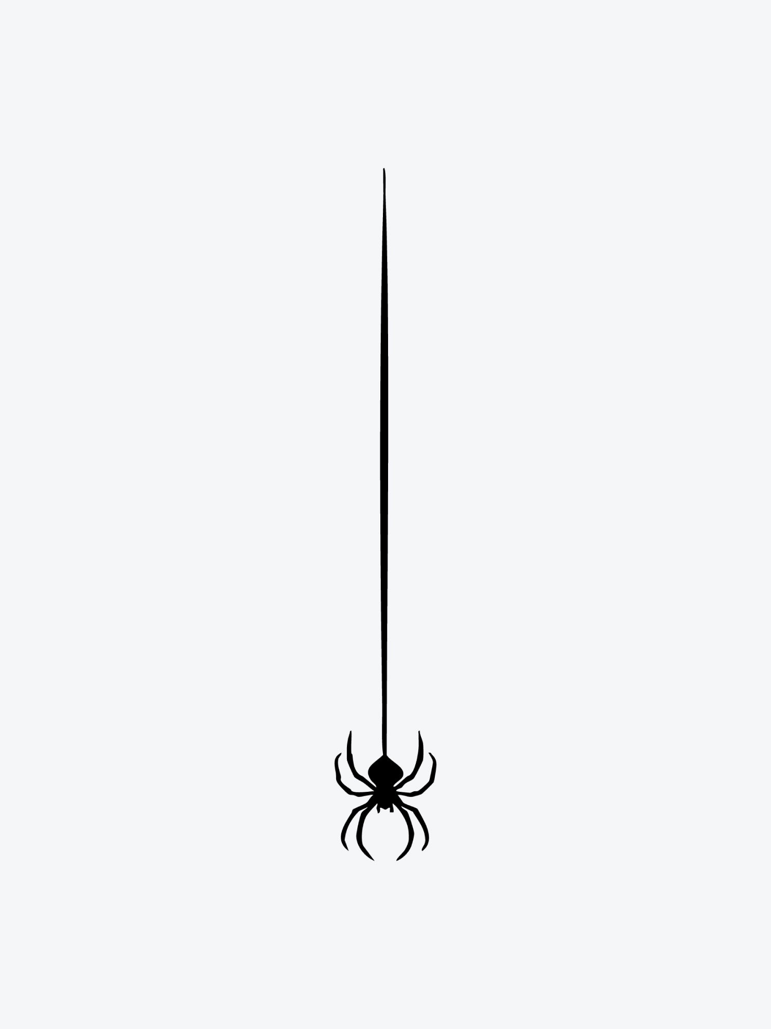 Spider Hanging