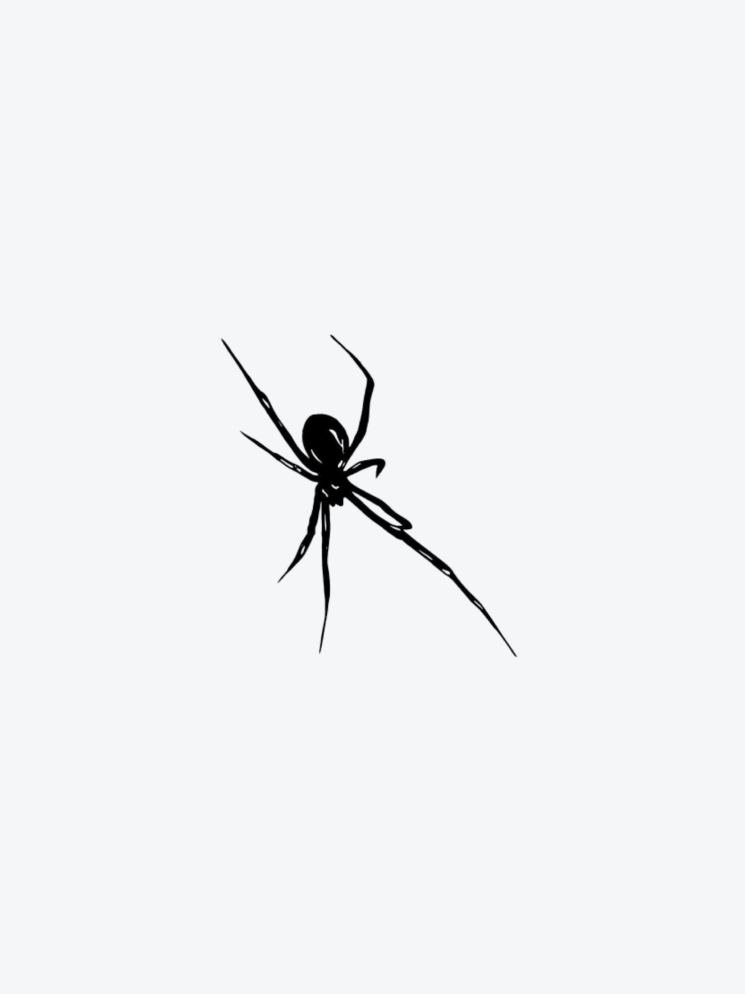 Spider Modern
