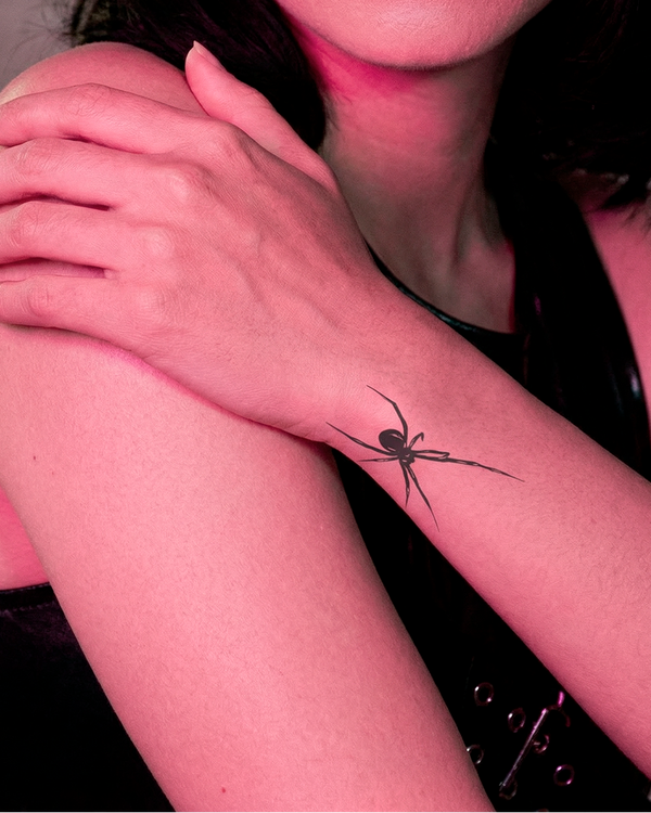 Spider Modern